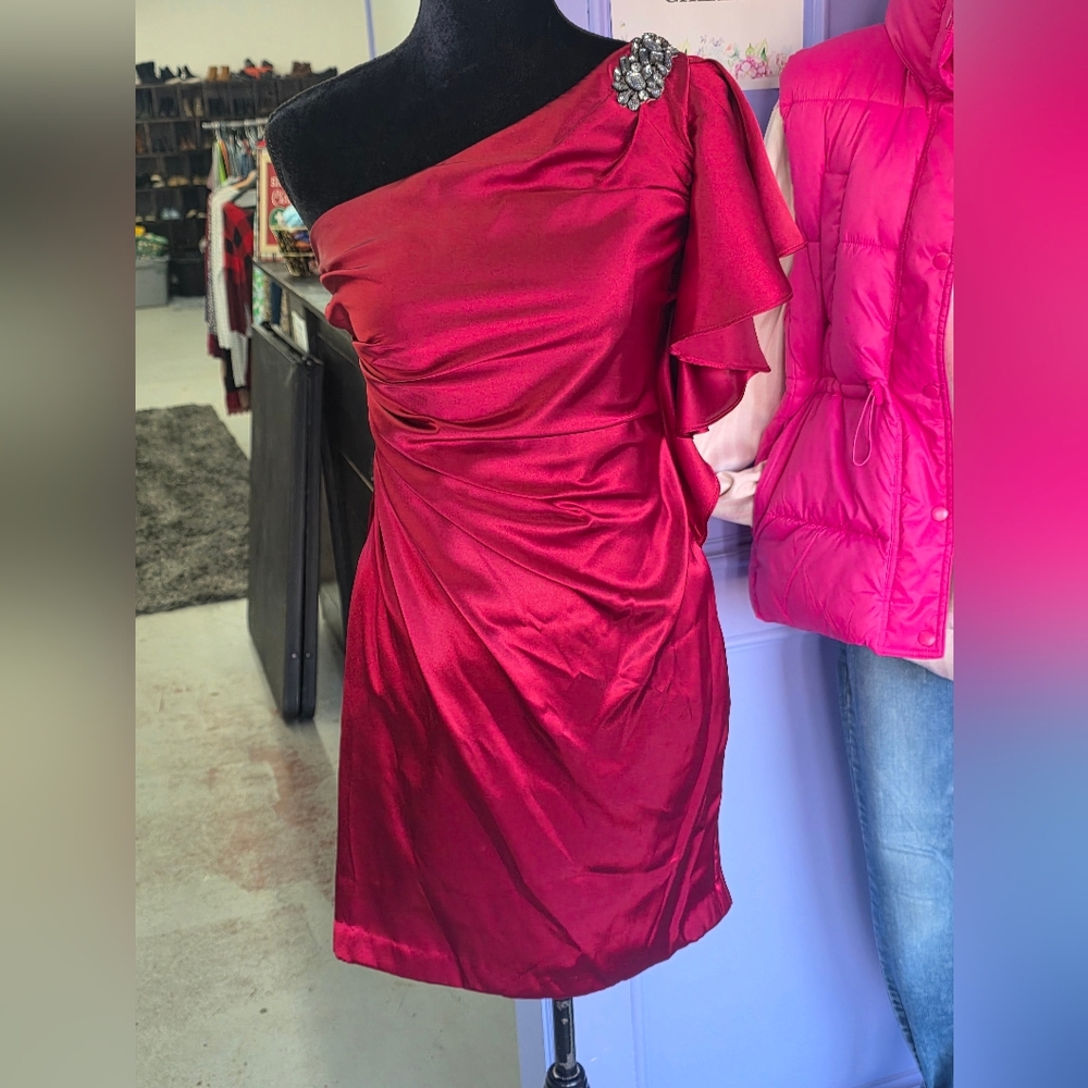 David's Bridal One-Shoulder Ruby Dress